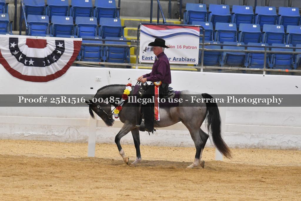 Proof 25R1516_00485