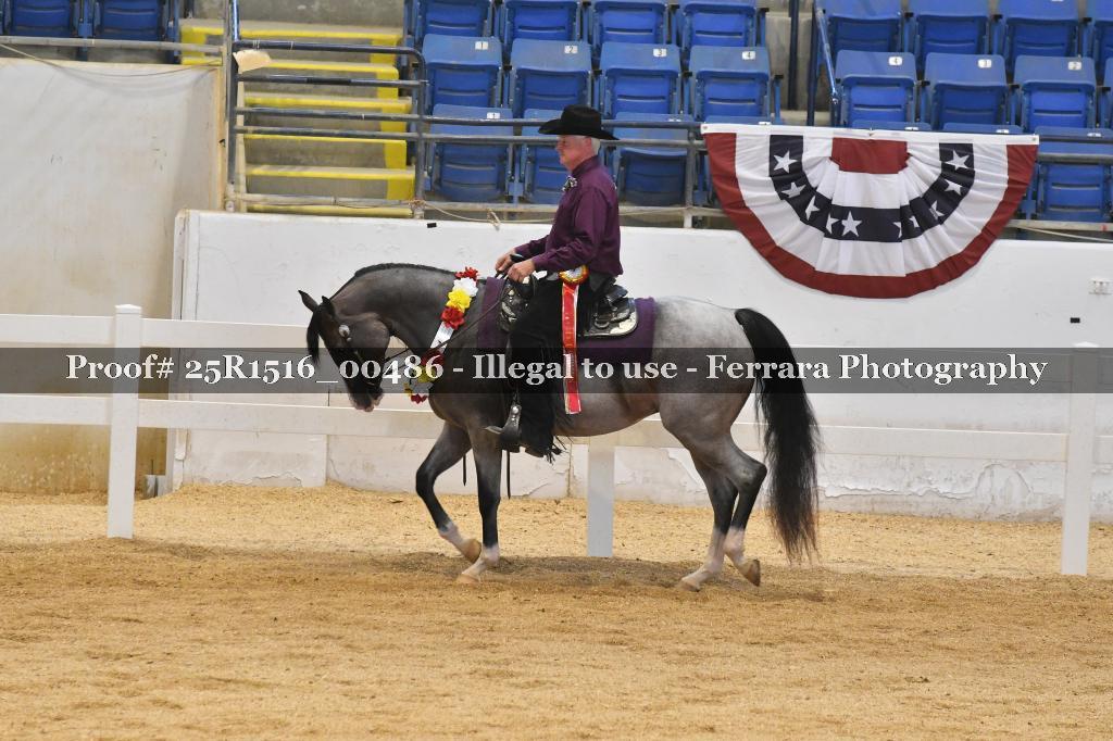 Proof 25R1516_00486