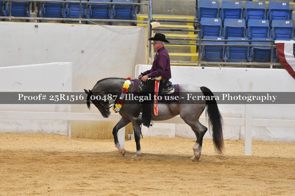 Proof 25R1516_00487