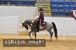 25R1516_00487 proof