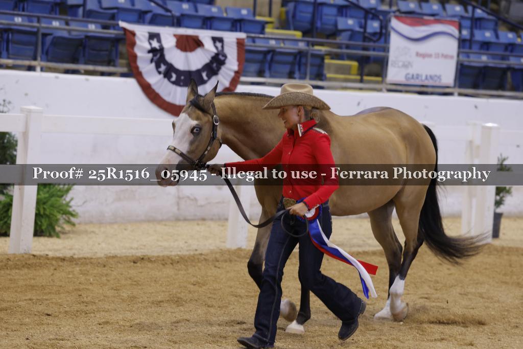 Proof 25R1516_05945