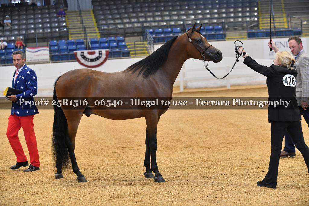 Proof 25R1516_06540