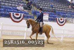 25R1516_00523 proof