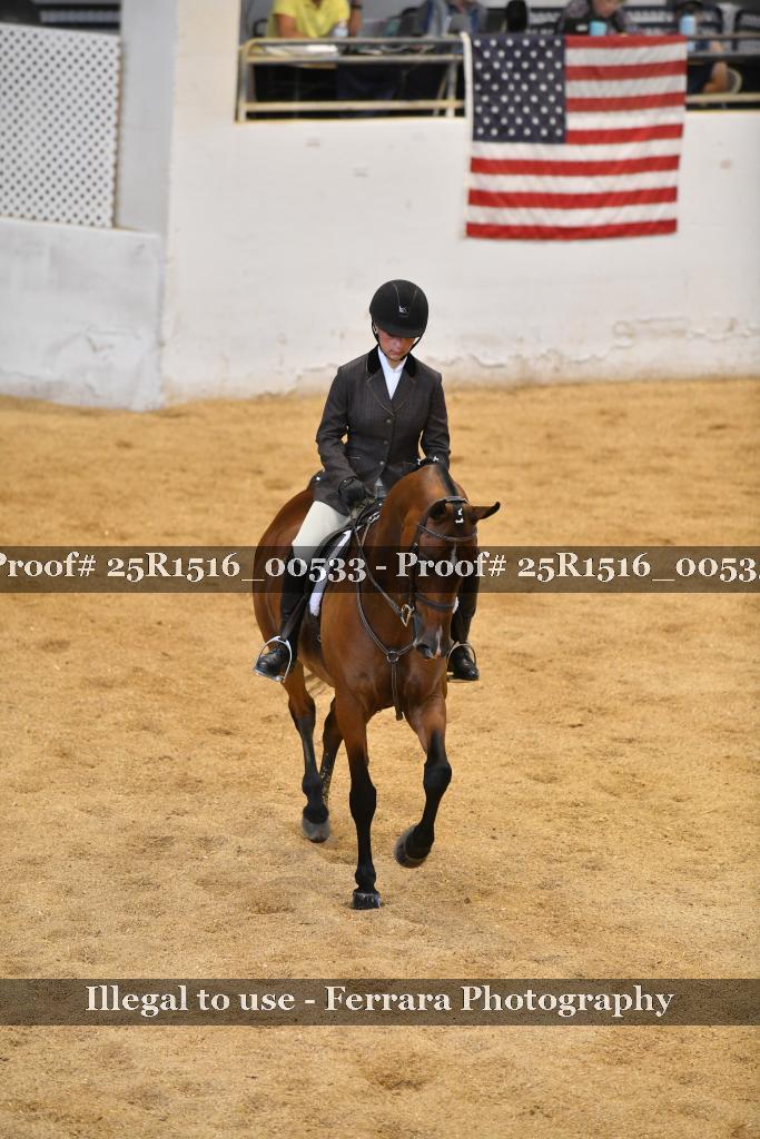 Proof 25R1516_00533
