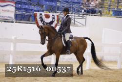 25R1516_00537 proof