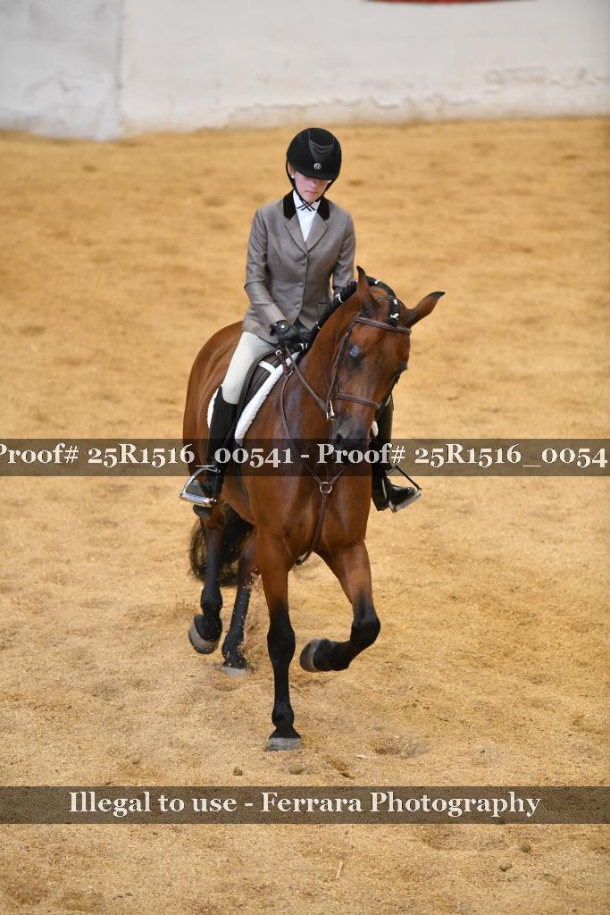 Proof 25R1516_00541