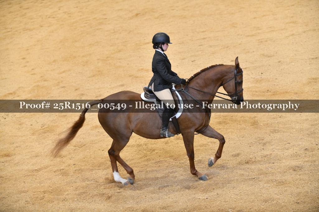 Proof 25R1516_00549