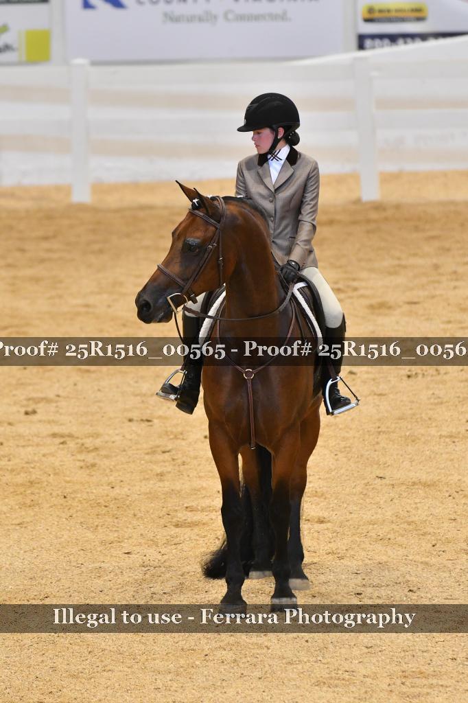 Proof 25R1516_00565