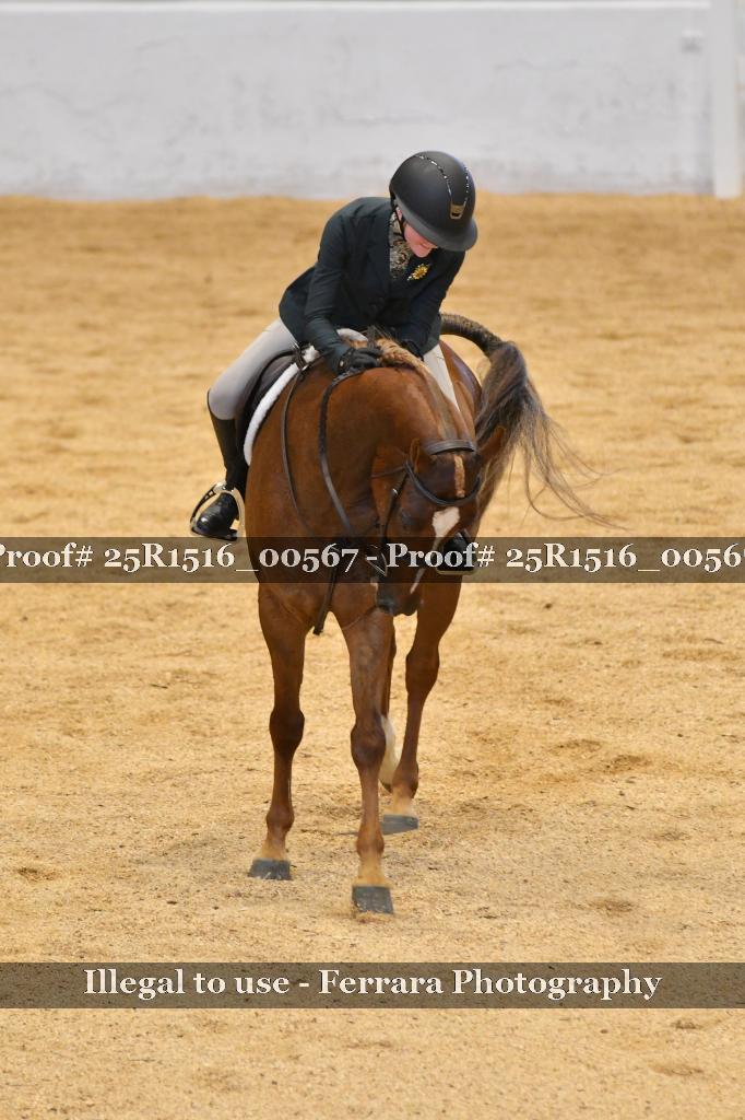 Proof 25R1516_00567