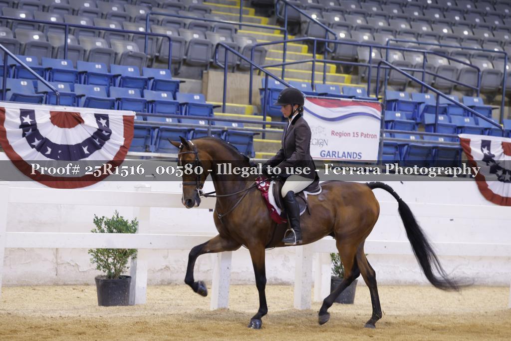 Proof 25R1516_00580