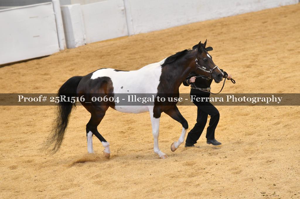Proof 25R1516_00604