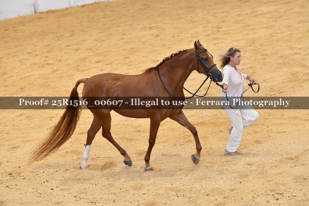 Proof 25R1516_00607