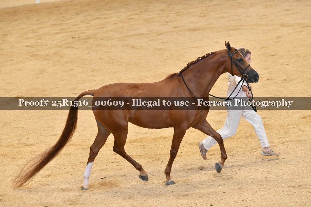Proof 25R1516_00609