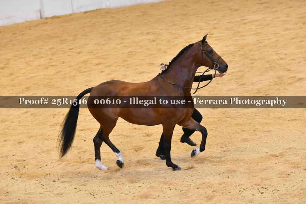 Proof 25R1516_00610