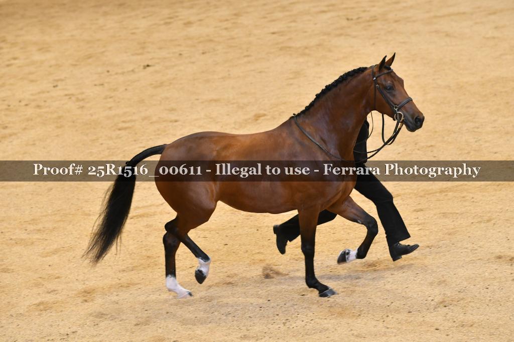 Proof 25R1516_00611