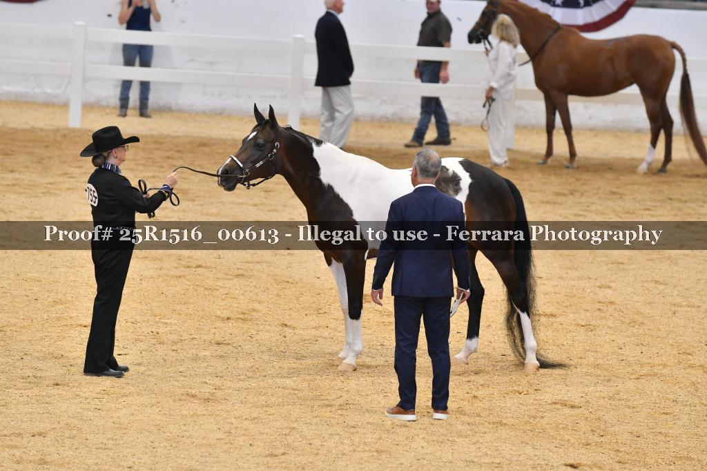 Proof 25R1516_00613