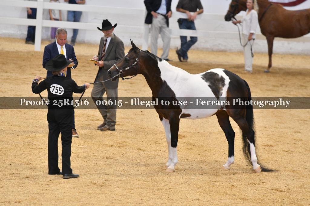 Proof 25R1516_00615