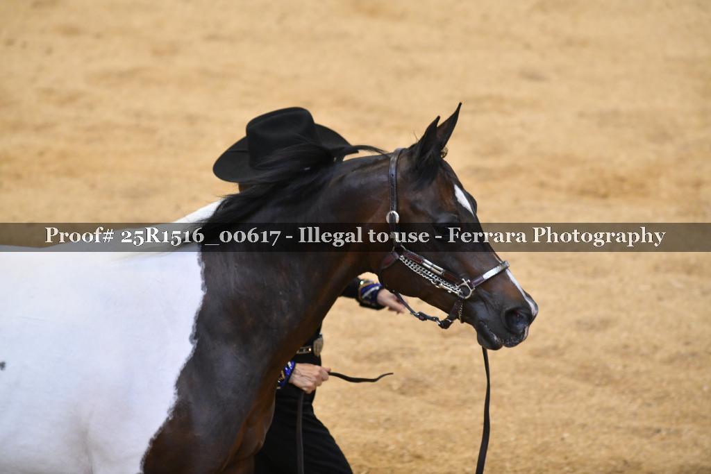 Proof 25R1516_00617