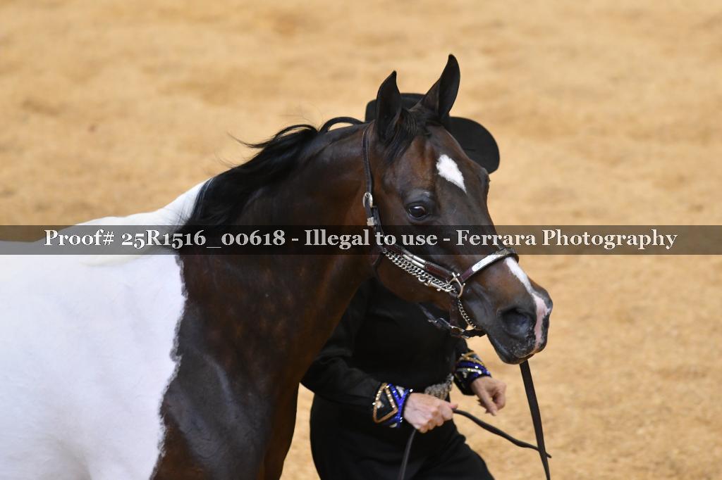 Proof 25R1516_00618