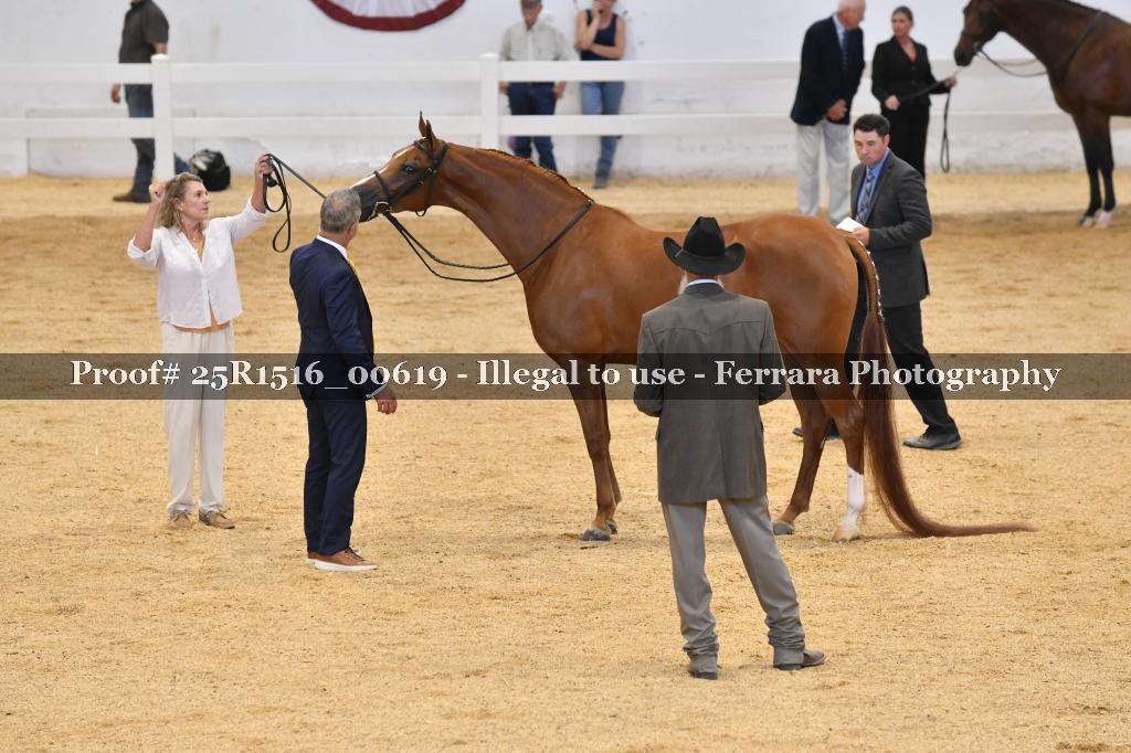 Proof 25R1516_00619