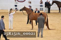 25R1516_00621 proof