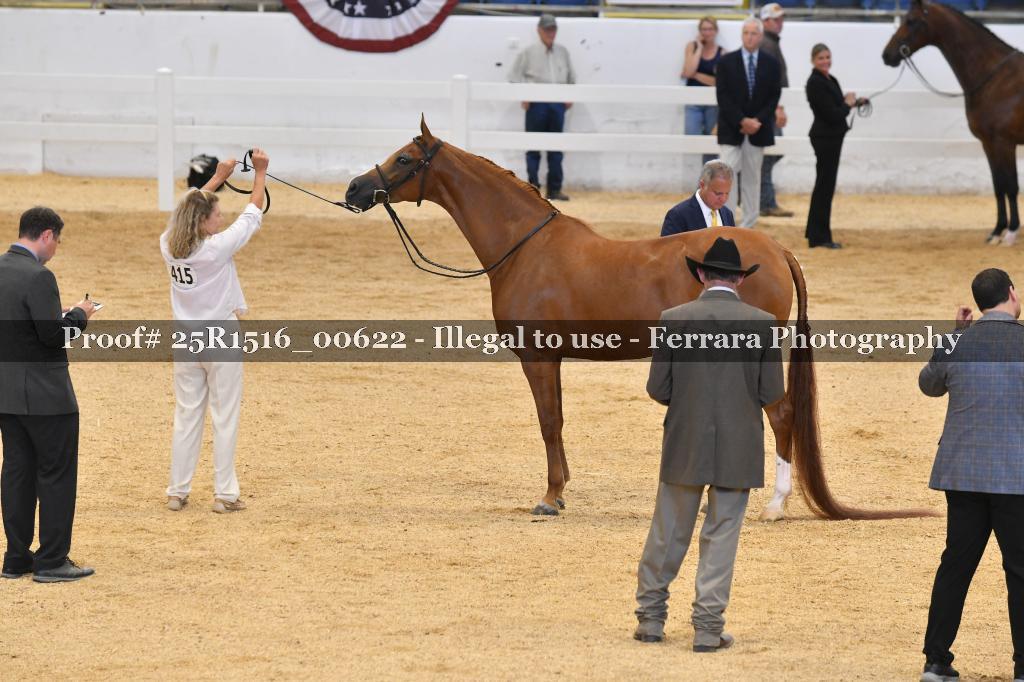 Proof 25R1516_00622