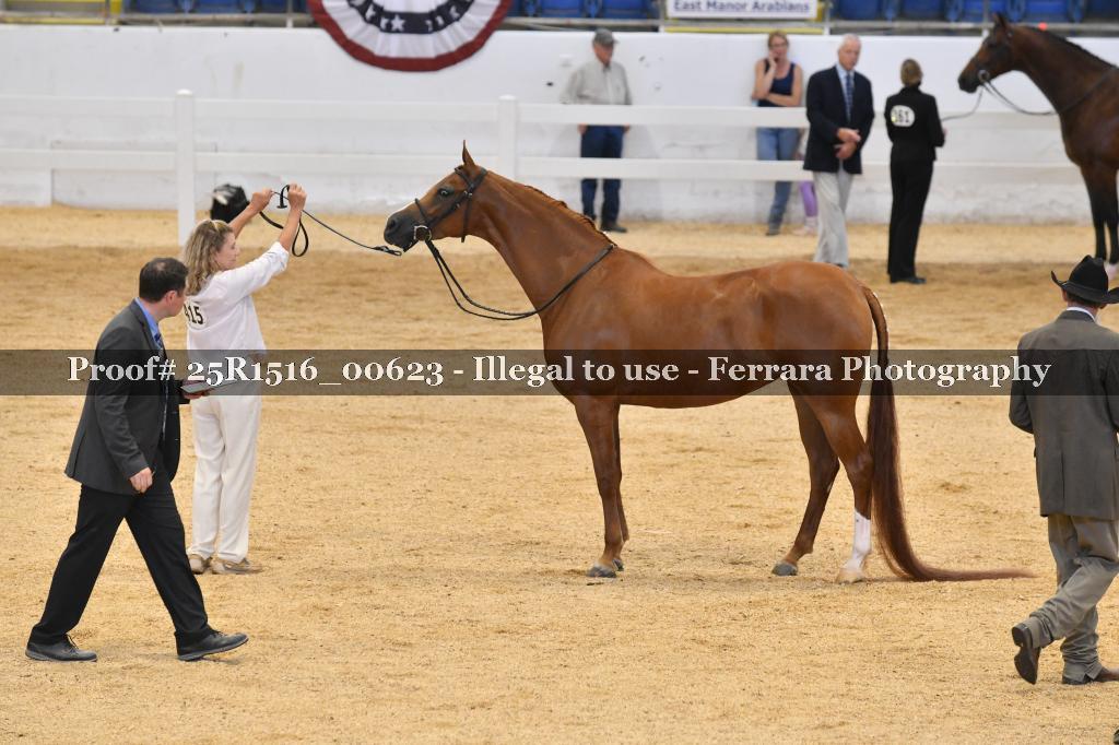 Proof 25R1516_00623