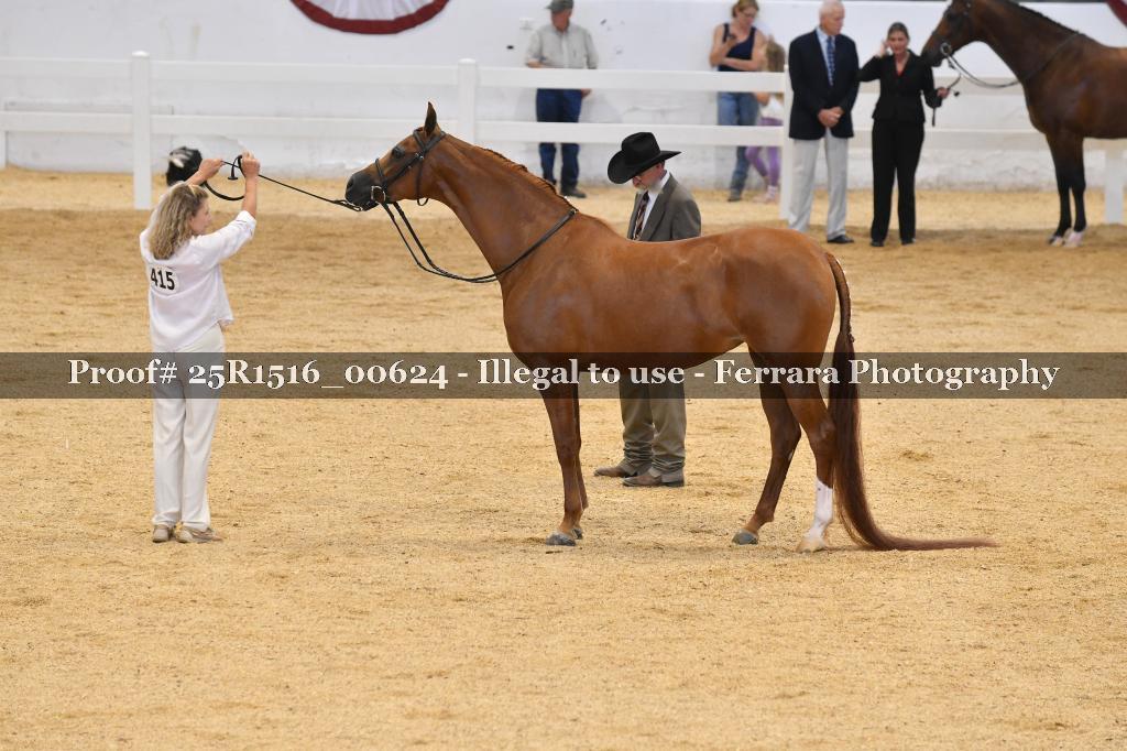 Proof 25R1516_00624