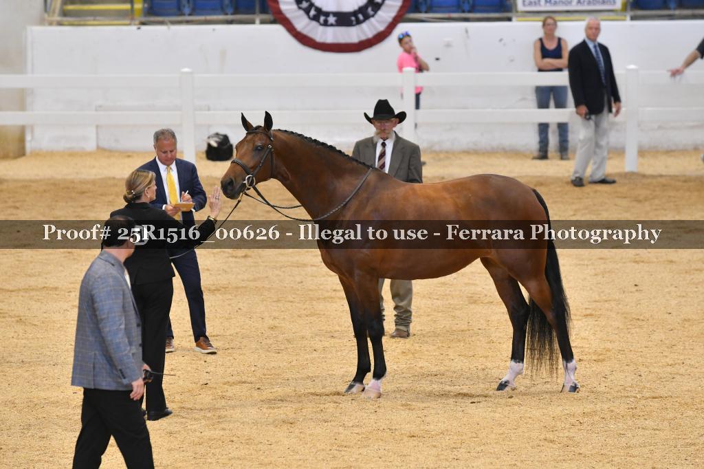 Proof 25R1516_00626