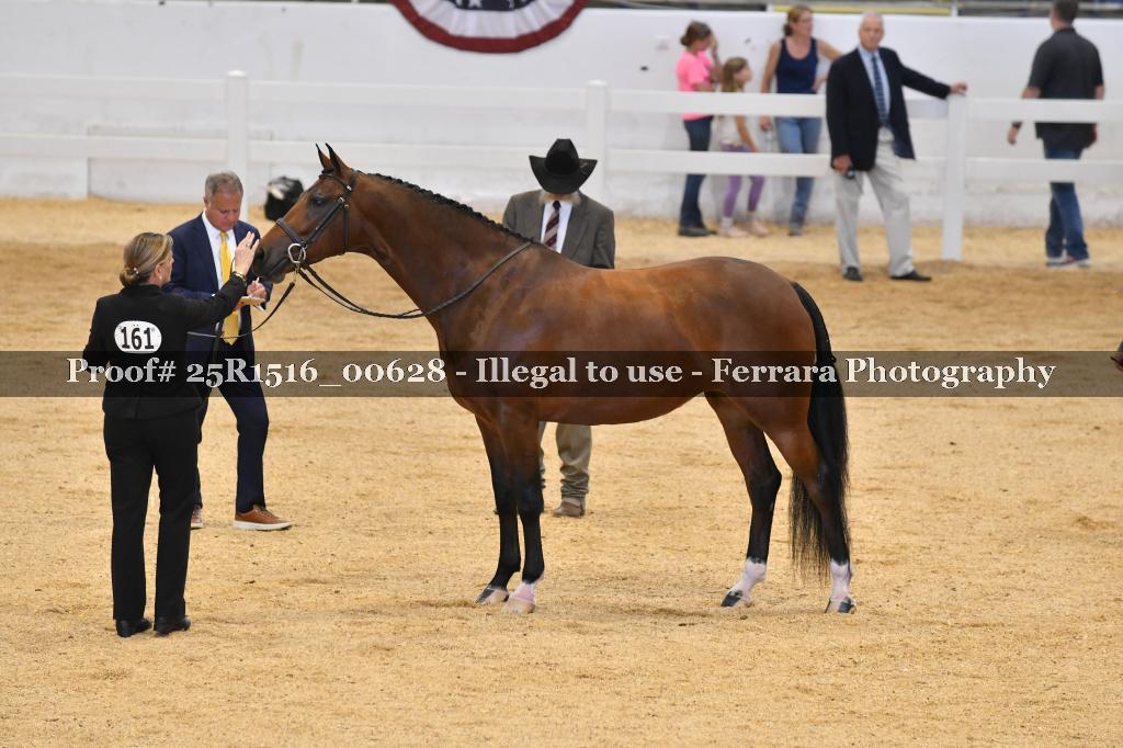 Proof 25R1516_00628