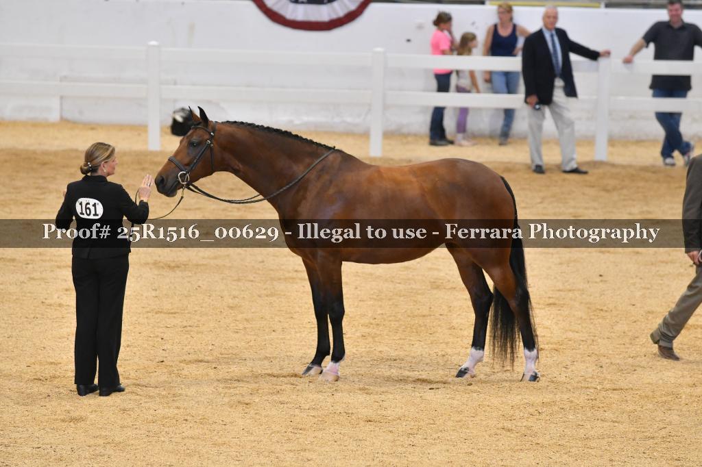 Proof 25R1516_00629