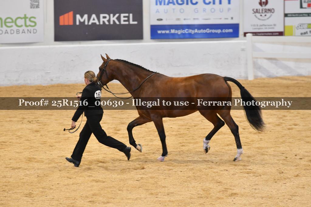 Proof 25R1516_00630