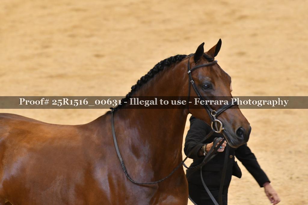 Proof 25R1516_00631