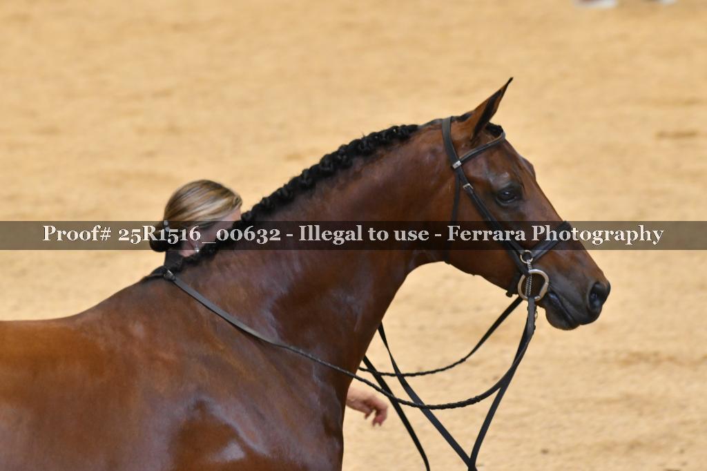 Proof 25R1516_00632