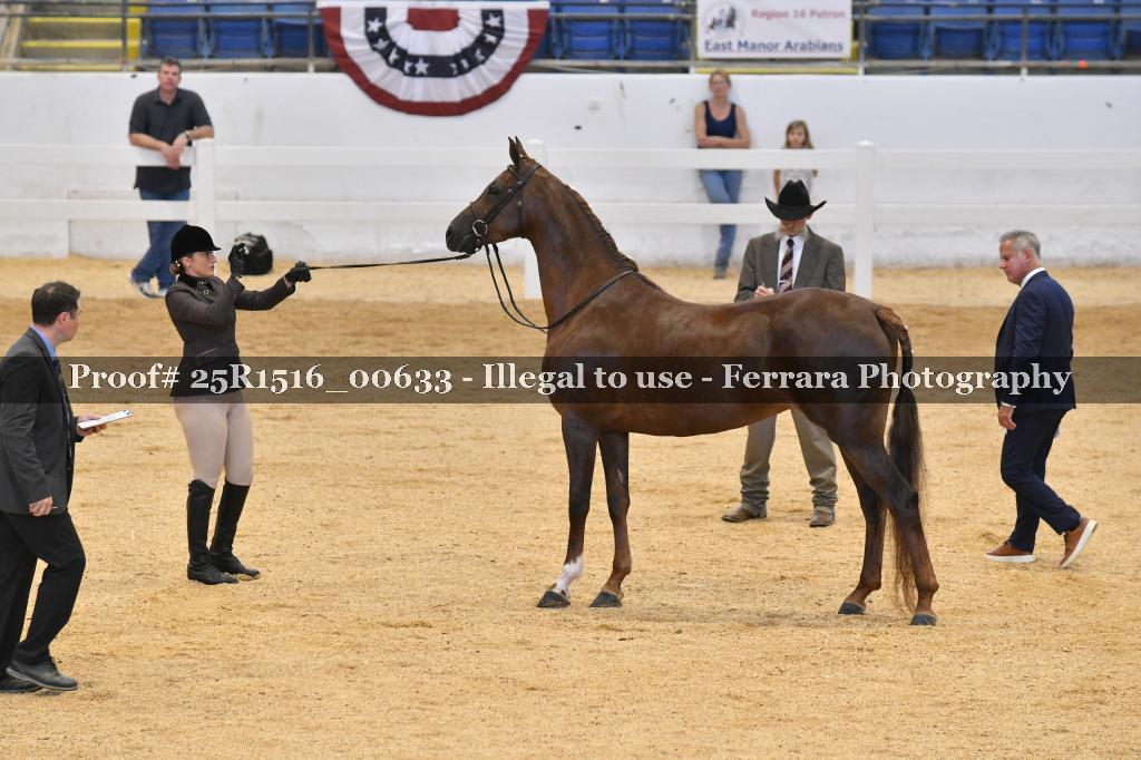 Proof 25R1516_00633