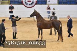 25R1516_00633 proof