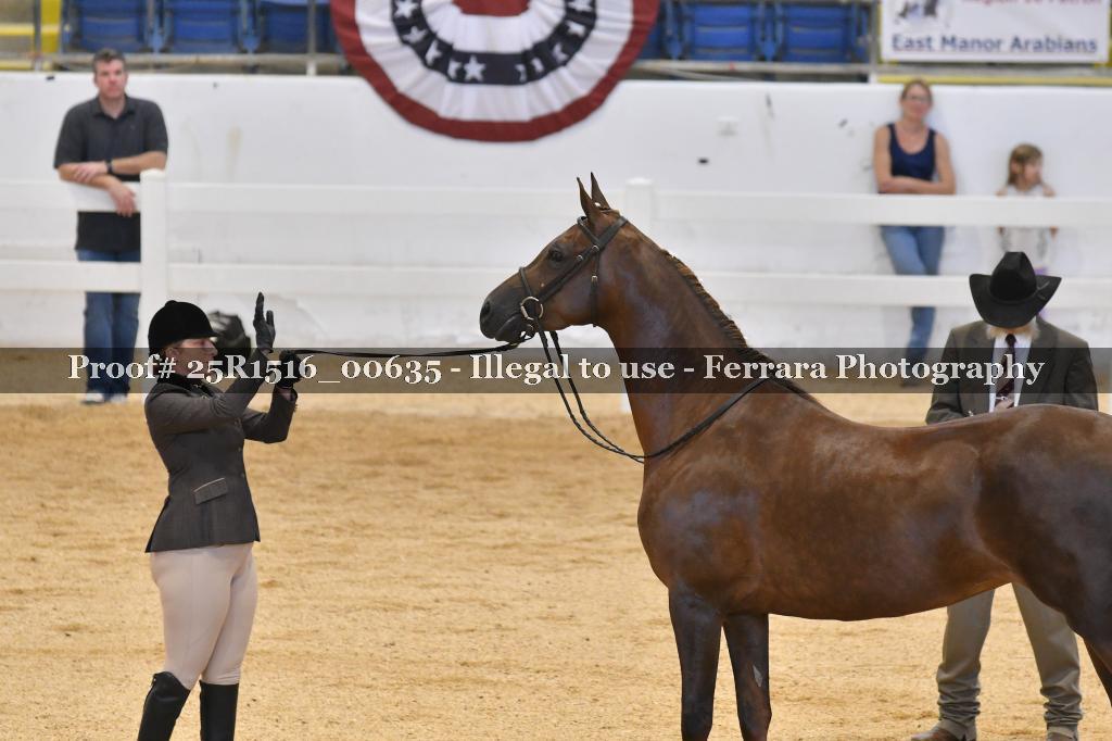 Proof 25R1516_00635