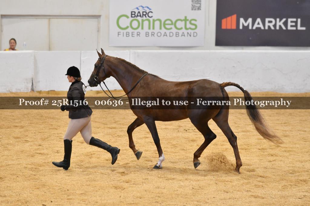 Proof 25R1516_00636
