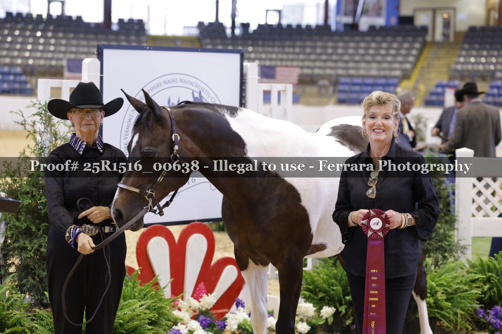 Proof 25R1516_00638