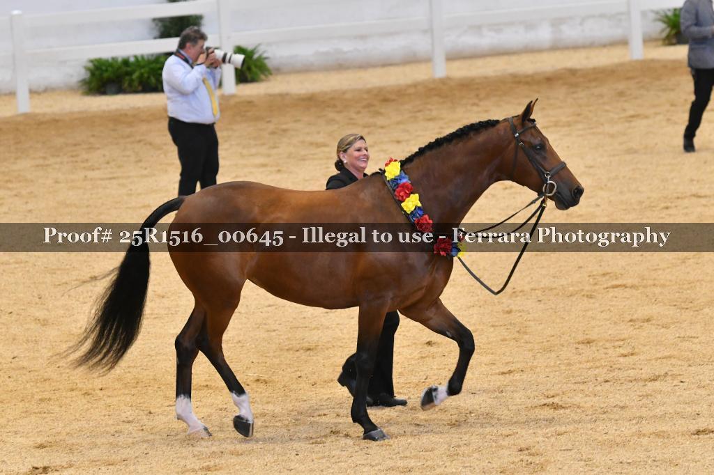 Proof 25R1516_00645
