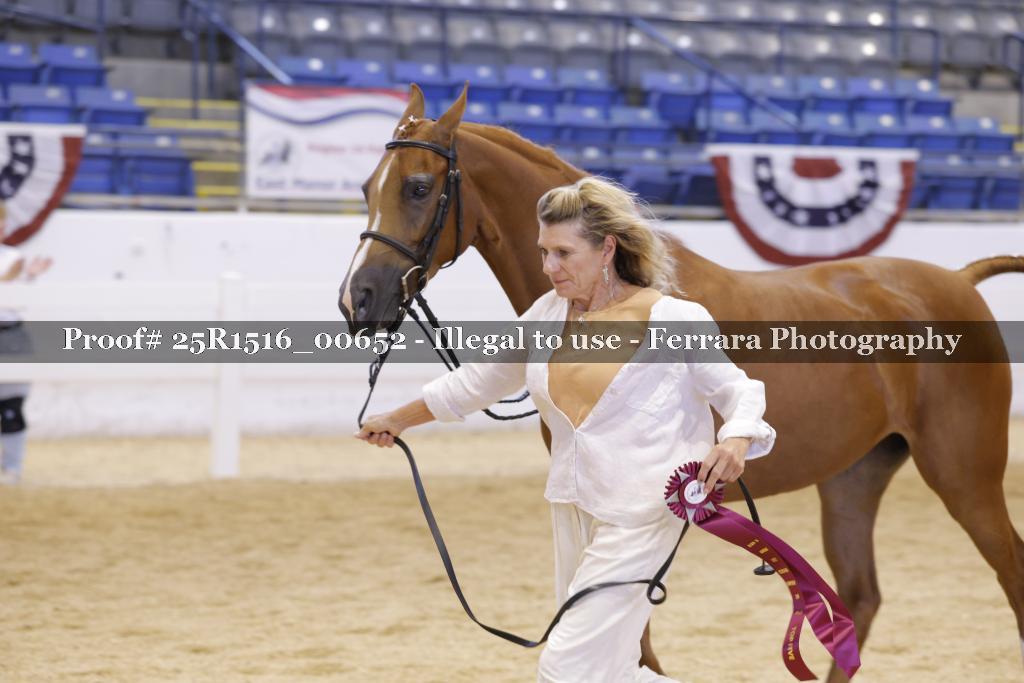 Proof 25R1516_00652