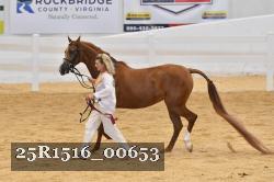 25R1516_00653 proof