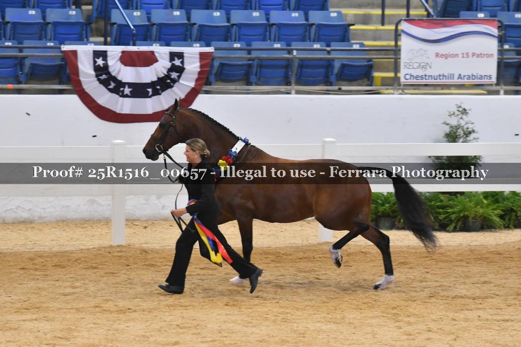 Proof 25R1516_00657