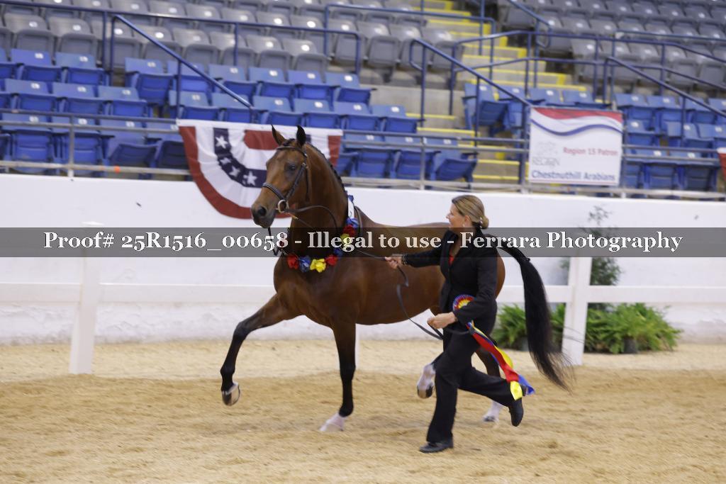 Proof 25R1516_00658