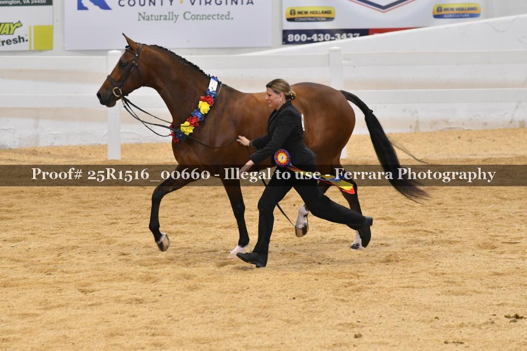Proof 25R1516_00660