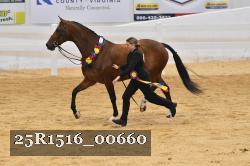 25R1516_00660 proof