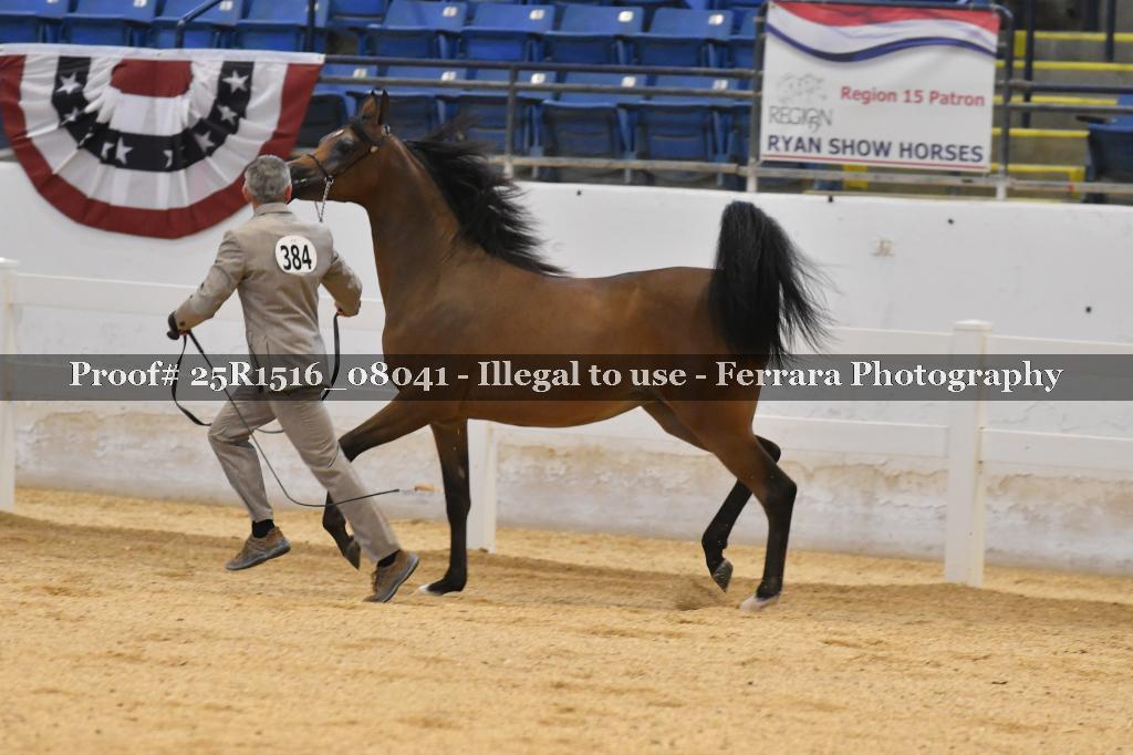 Proof 25R1516_08041