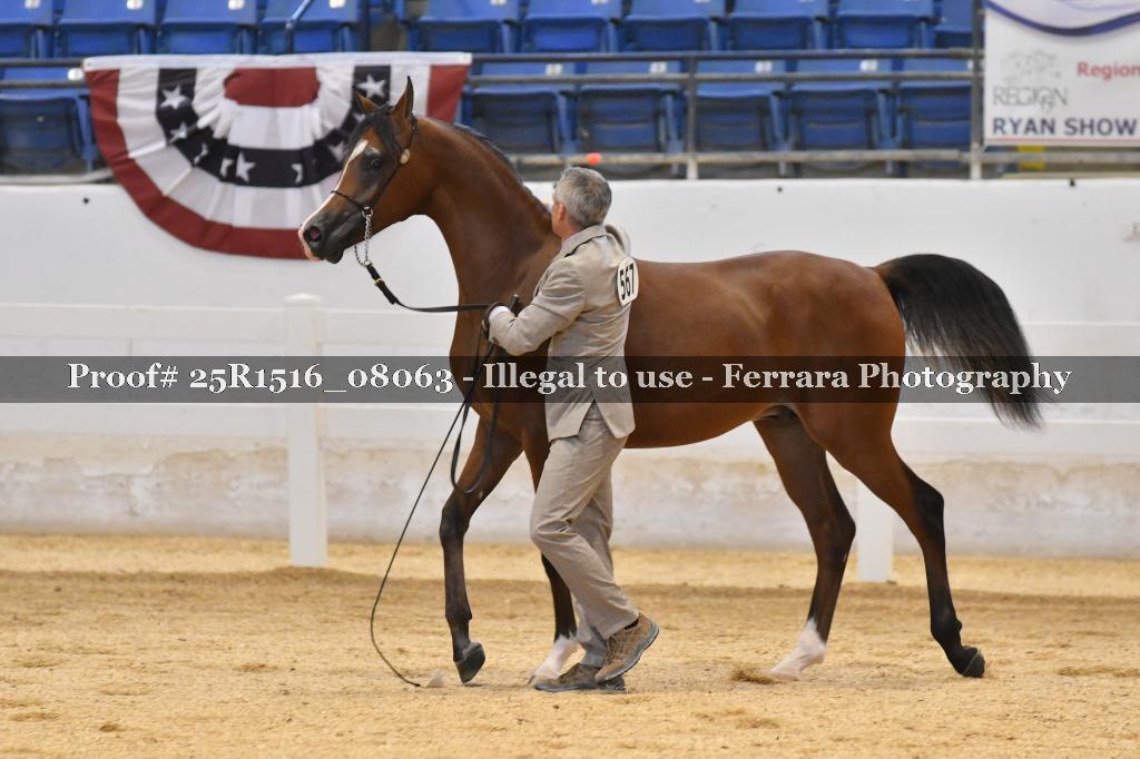 Proof 25R1516_08063