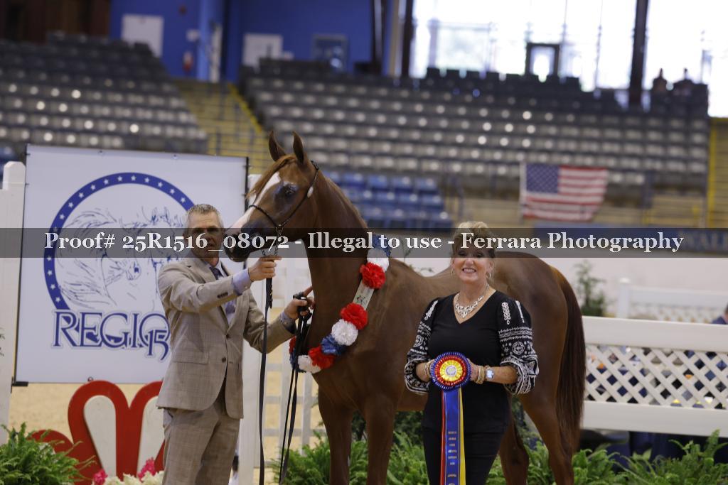 Proof 25R1516_08072