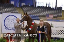 25R1516_08072 proof
